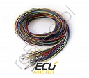 Pre-terminated wirings for ECUMASTER EMU